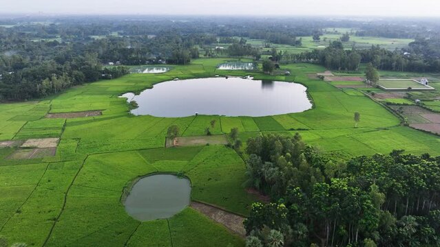 An aerial view of a pond surrounded by a lush green field. The pond is a mirror of the sky. The green field is a patchwork of different shades of green.