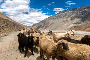 Landscapes of Spiti Valley of Himachal pradesh during summer