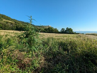 Obraz premium A stunning panorama of Palava Hills with Devicky Castle in the background, showcasing South Moravian landscapes, vineyards, and historical landmarks.