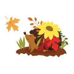 Smiling Autumn Hedgehog under pile of leaves and sunflower. Cute hedgehog illustration. Fun Fall illustration © IrinaSzE