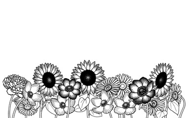 Hand-drawn flower illustration isolated on transparent background, botanical art, line art style
