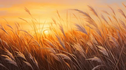 Schilderijen op glas Detail of wild grass at sunset © Ziyan Yang