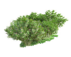 Fototapeta premium Green landscape isolated on transparent background. 3d rendering - illustration