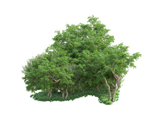 Green landscape isolated on transparent background. 3d rendering - illustration