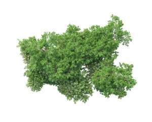 Obraz premium Green landscape isolated on transparent background. 3d rendering - illustration