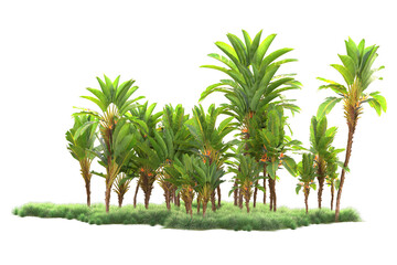 Green landscape isolated on transparent background. 3d rendering - illustration