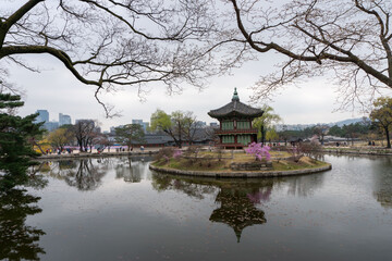 Fototapeta na wymiar Korean temple garden in Spring 2017