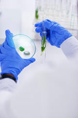 Scientist, hand and plant with petri dish and sustainability research for agriculture in a...