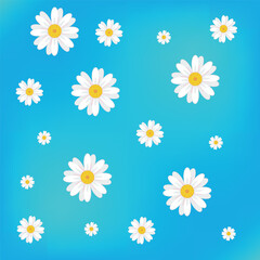 White chamomile flowers. Flat summer chamomile flowers on a blue background. The concept of repetition. View from above
