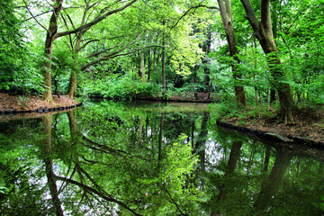 Tiergarten - Berlin / Germany - green park with ponds and reflections of trees on the water