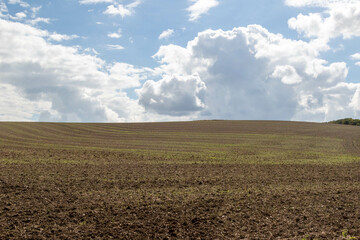 Fototapeta na wymiar A ploughed field