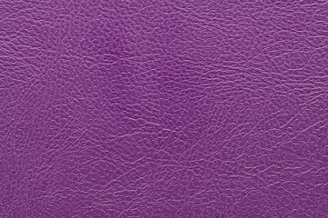 Purple leather texture closeup, useful as background