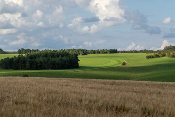 Fototapeta na wymiar Farm fields in the English Countryside