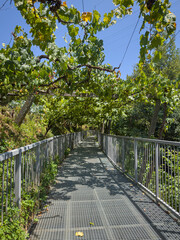 Arda walkways in Arouca municipality, Aveiro - Portugal