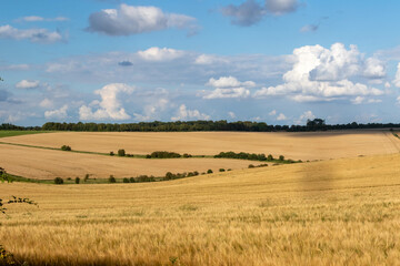 Obraz premium Farm fields in the English Countryside