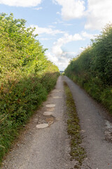 A public bridle path
