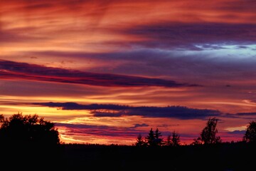 Orange sunset over the forest