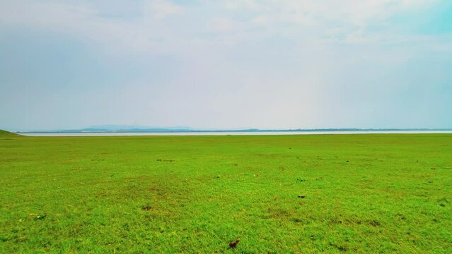 Green grass and water at the Pa Sak Jolasid Dam ,Thailand.