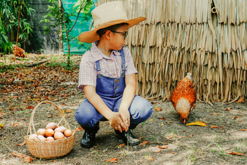 Cheerful Asian boy looks at chickens with affection for farm animals. and collect eggs in baskets...