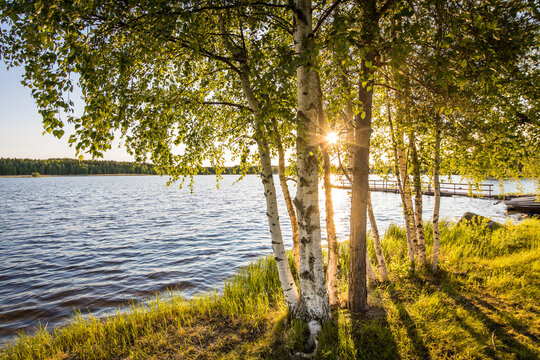 Midnight sun shining through birch trees at a lake in Finland