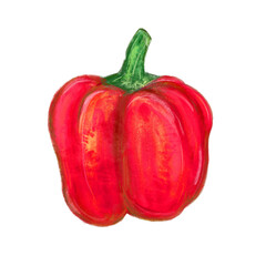 Isolated whole raw red peppers in ingredients illustration