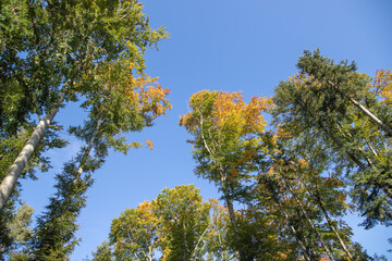 Bergwelt im Herbst