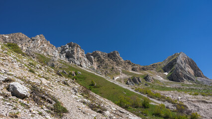 Fototapeta na wymiar . Spring in the vicinity of Mount Fisht in the Caucasus.