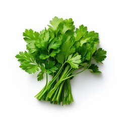 Bunch of green parsley isolate on white background top view