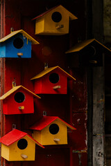 Closeup birdhouses on a mandarin tree at city