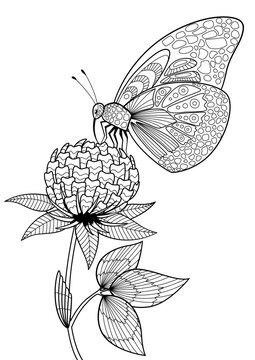 Butterfly on flower doodle coloring book page. Black and white vector zentangle illustration.