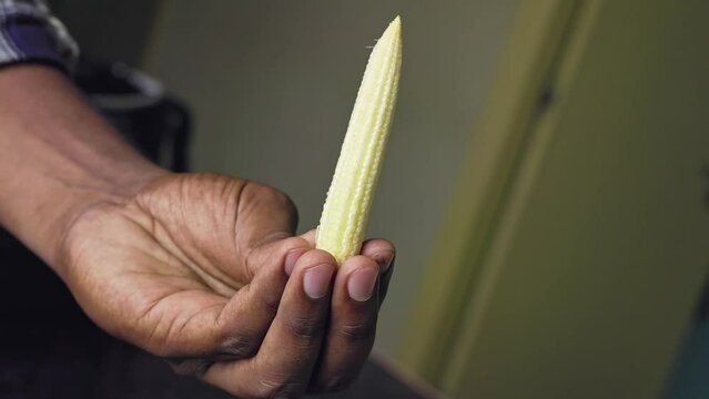 A male hand holds an organic fresh baby corn in the kitchen