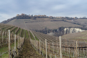 Rural landscape of vines and hills in Langhe, Italy - obrazy, fototapety, plakaty