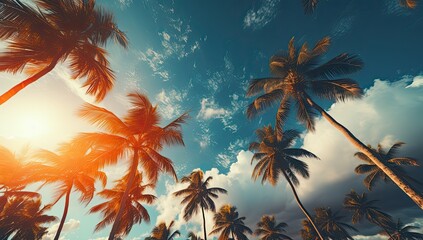 Fototapeta na wymiar palm trees in an amazing blue day in the summer