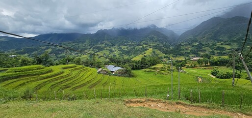 landscape in the mountains
terraced fields