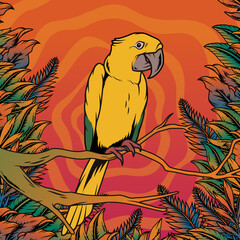 Guacamayo amarillo, loro amarillo, pájaro, ave exótica, animal, selva, tropical
