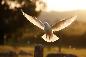 White flying dove bird on landscape background in early morning light. Created using generative Al tools.