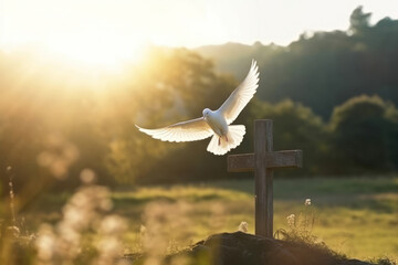Fototapeta premium White dove bird fly over wooden cross in morning sunlight. Created using generative Al tools.