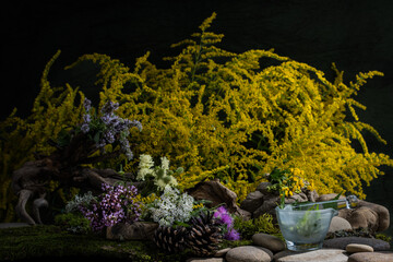 Phytodesign from medicinal herbs. Stones, moss, wildflowers. Pharmaceutics. Pharmacy. Cosmetics from medicinal herbs and flowers.