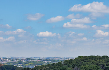 瑞々しい新緑と青空