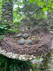 Oeufs en pierre dans un nid