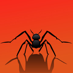 spider in the webBlack ant animal vector logo on orange red background