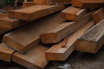 Madeiras certificada - Amazônia