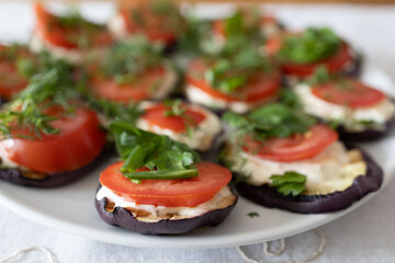 Zuchini, tomatoes, mozzarella, basil in a plate