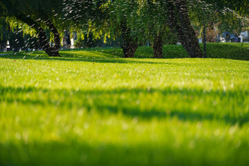 watering the lawn in the city park, splashing water, bright sunlight on the green grass, trees in the shade, a beautiful summer landscape