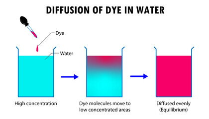 Diagram of the process of diffusion, movement of particles from highly concentrated area to low concentrated areas