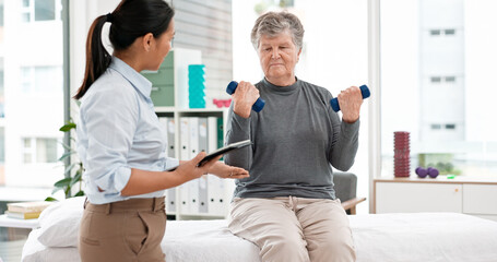 Physical therapy, senior patient with dumbbells and chiropractor with tablet, monitor progress and...