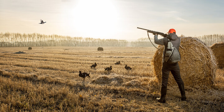 hunter shooting to the flying bird. Hunter with a gun hunting on black grouse in autumn season. banner with copy space.
