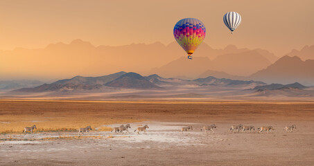 Hot air balloon flying over African savannah - Amazing Zebras running across the African savannah -...