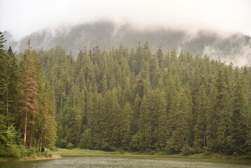 Lake Synevyr in the Ukrainian Carpathians mountains and forest in the fog around