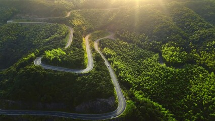 Aerial view of curve road through green forest on mountain